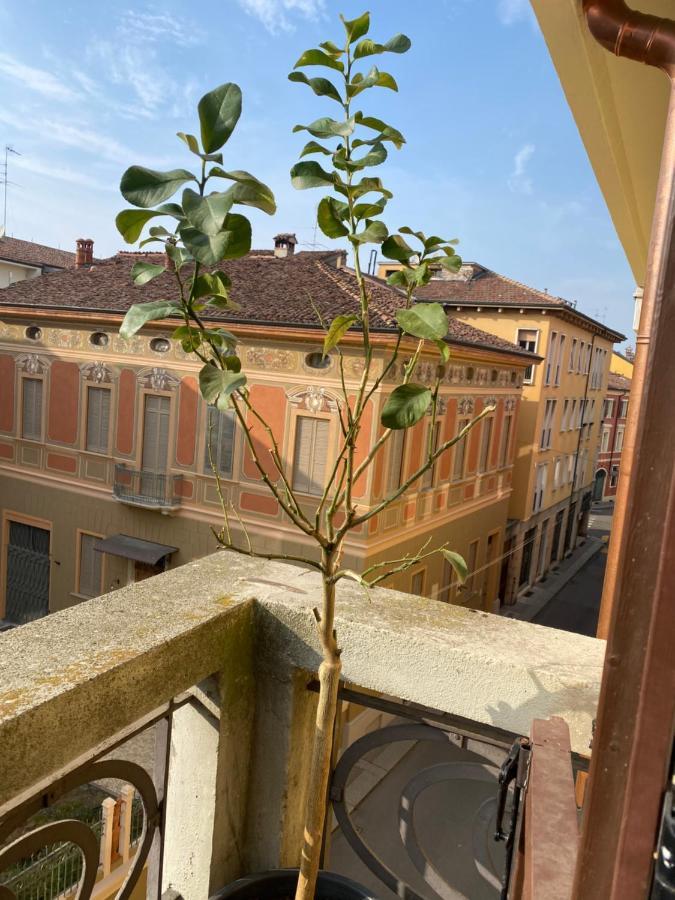 Apartament Loft Manzoni 37 Cremona Zewnętrze zdjęcie